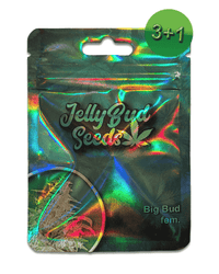 Big Bud feminisierte Seeds 3+1 von Jelly Bud