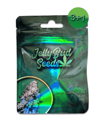 Lemon Cherry Gelato Auto Cannabis Seeds 3+1 Gratis