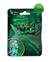 Lemon Cherry Gelato Cannabis Samen 3+1 Gratis