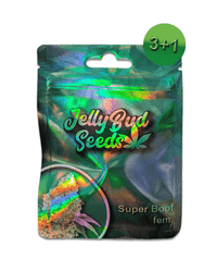 Super Boof Cannabis Seeds 3+1 von Jelly Bud