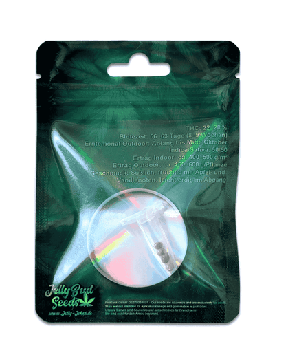 Jelly Bud Apple Fritter Seeds Indoor Grow