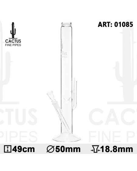 Gesamtansicht der Cactus Glasbong mit 49 cm Höhe und 50 mm Durchmesser