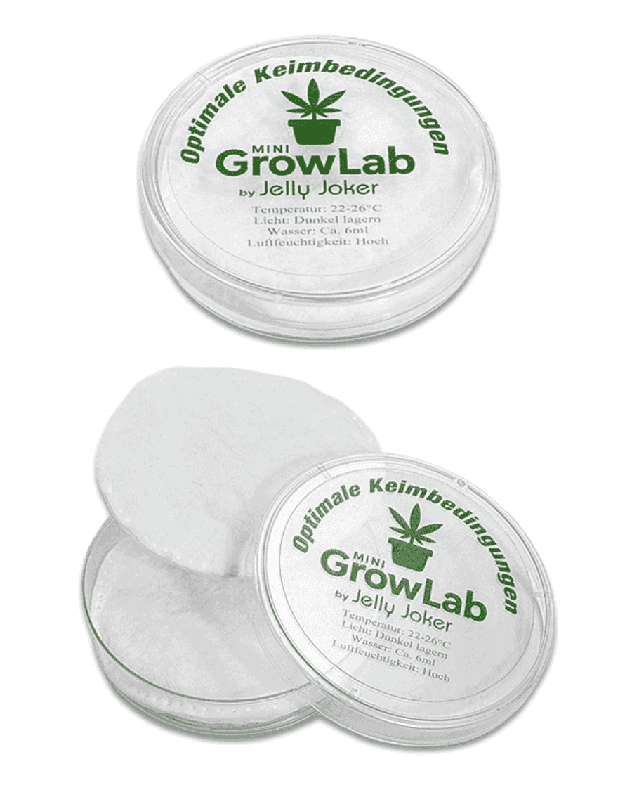 Petrischale GrowLab Mini mit Wattepads
