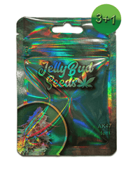 AK47 fem Cannabis Seeds von Jelly Bud