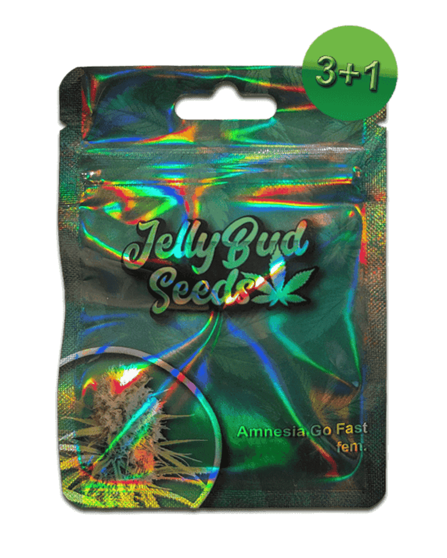 Amnesia Go Fast Cannabis Seeds fem Jelly Bud