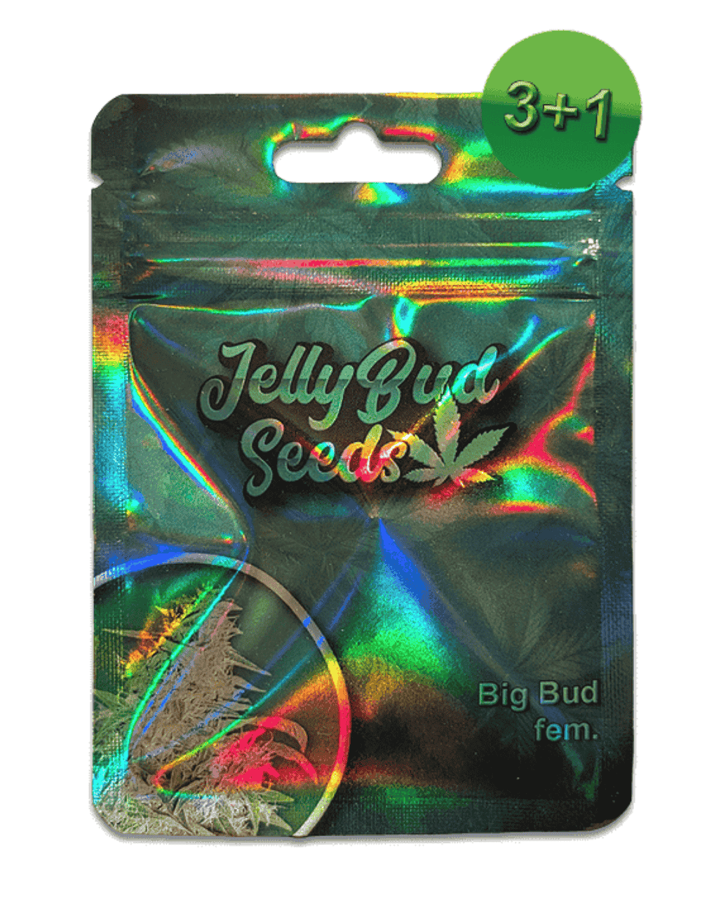 Big Bud feminisierte Seeds 3+1 von Jelly Bud