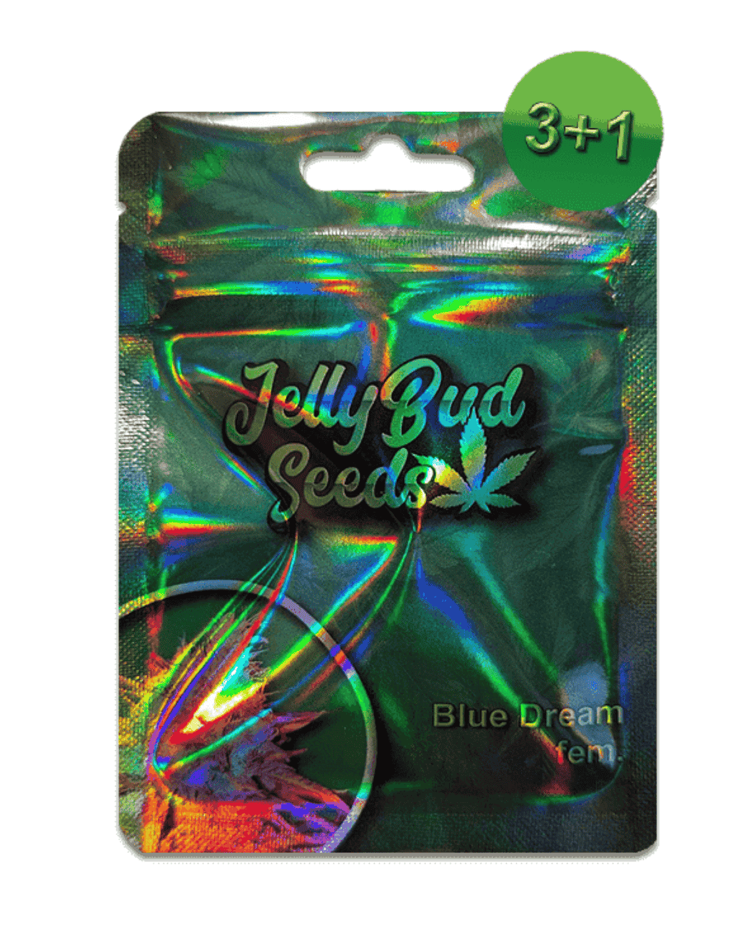 Blue Dream Cannabis Samen 3+1 Gratis