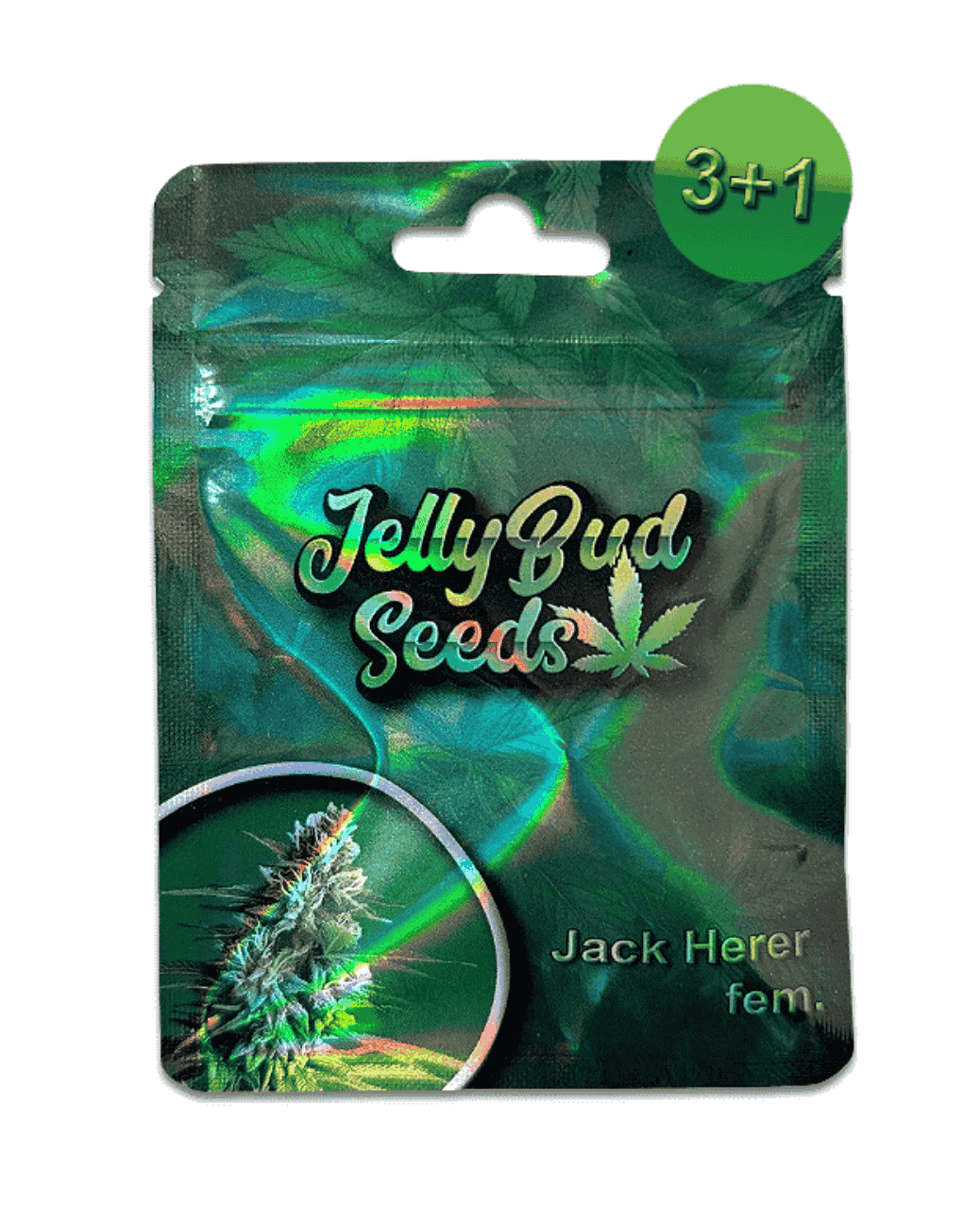 Jack Herer Cannabis Samen 3+1 Gratis