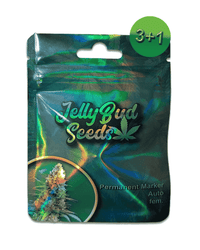 Permanent Marker Auto Cannabis Samen 3+1 Gratis