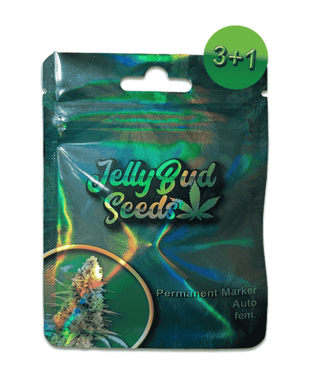 Permanent Marker Auto Cannabis Samen 3+1 Gratis