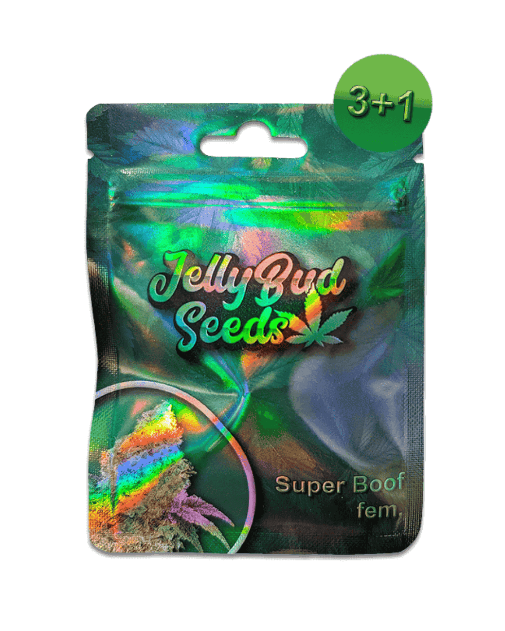 Super Boof Cannabis Seeds 3+1 von Jelly Bud
