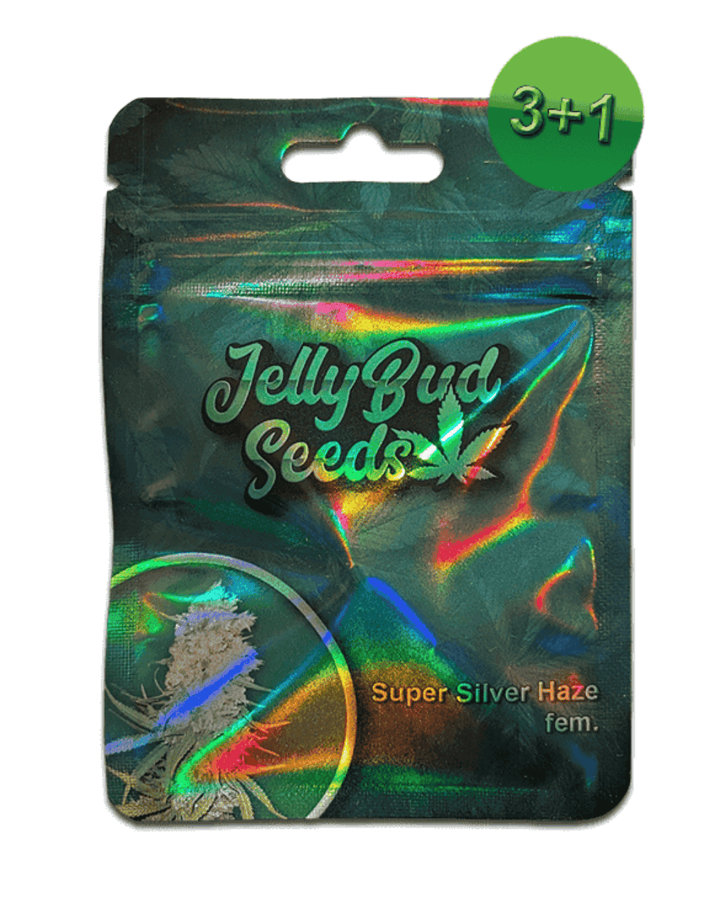 Super Silver Haze Samen 3+1 Gratis Angebot