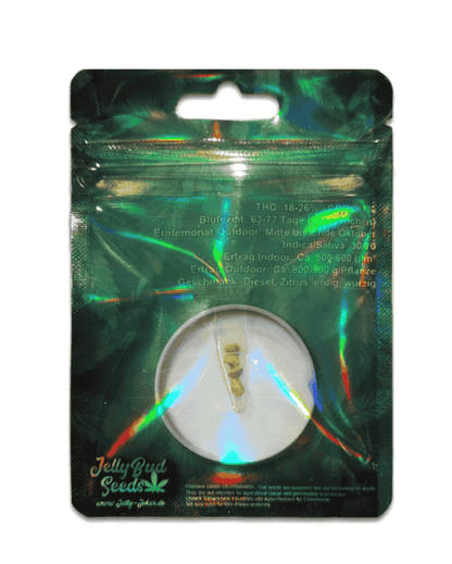 Indoor Grow Sour Diesel Seeds fem.